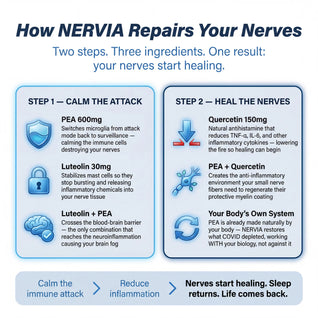 Micronized PEA Blend