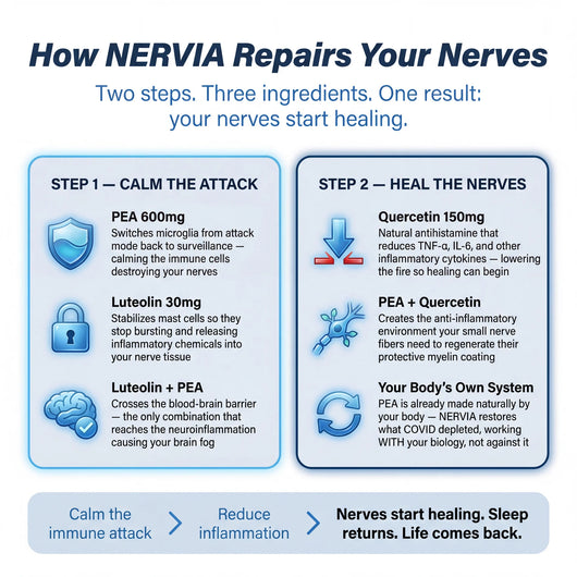 Micronized PEA Blend